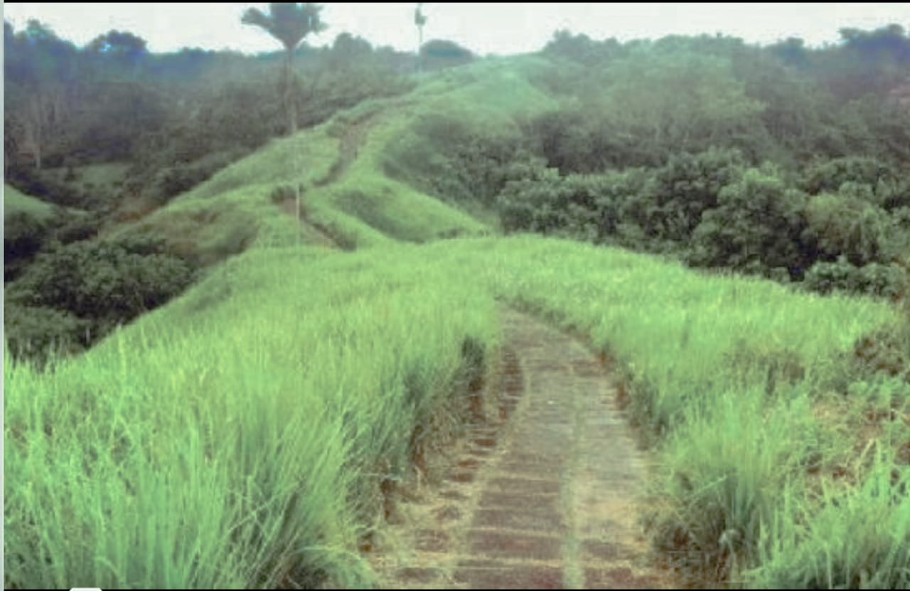 Tempat Wisata Menarik yang Cocok untuk Backpacker ke Bali